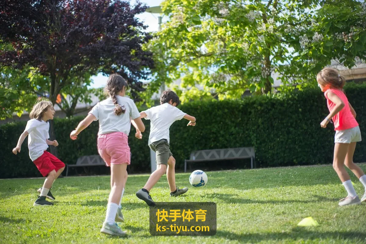 快手体育竞技分析